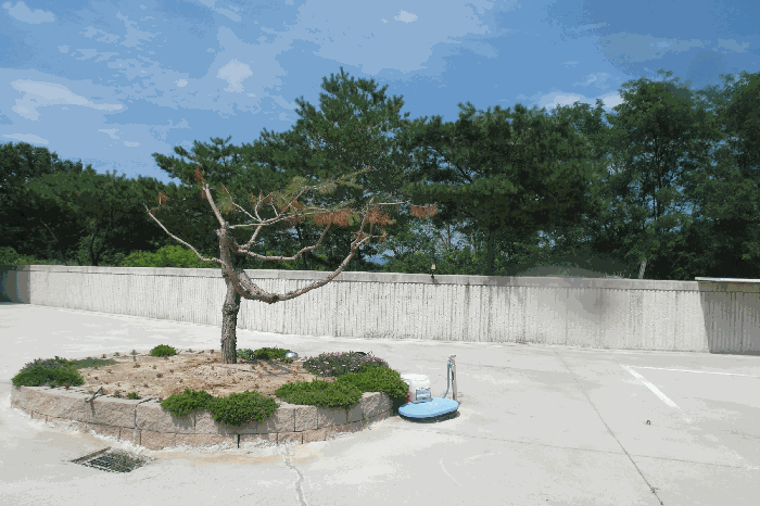 물건 사진 11
