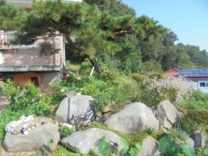 물건 사진 5