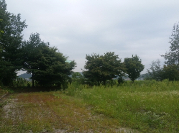 물건 사진 12