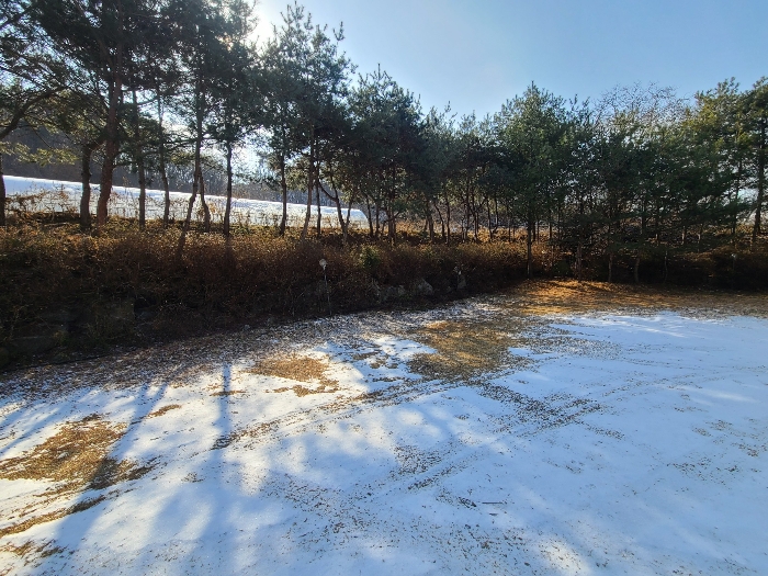 물건 사진 23