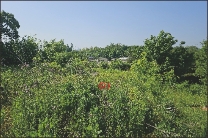 물건 사진 35