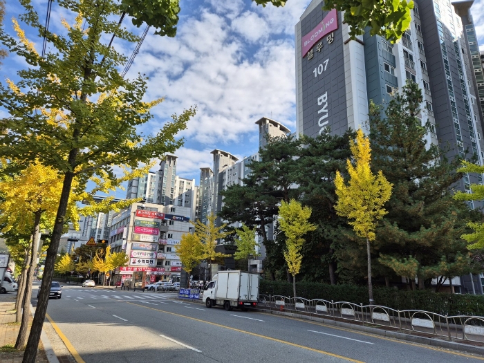 물건 사진 9