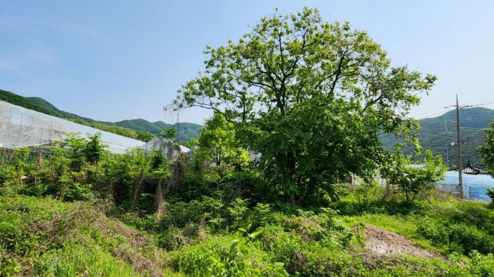 물건 사진 15