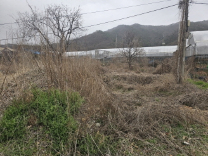 물건 사진 3