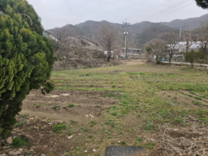 물건 사진 8
