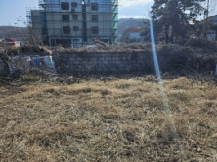 물건 사진 5