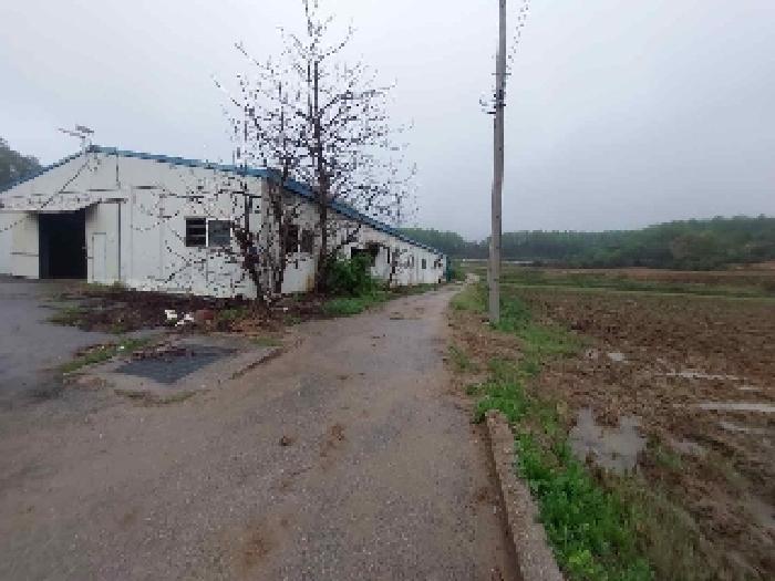 물건 사진 12