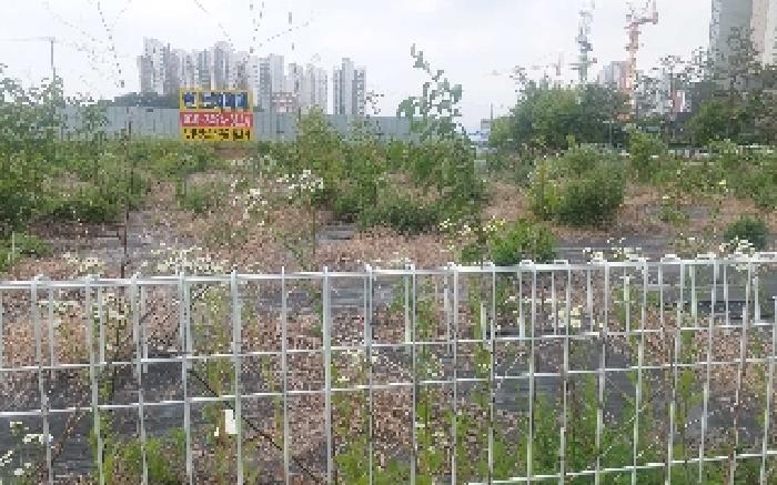물건 사진 29