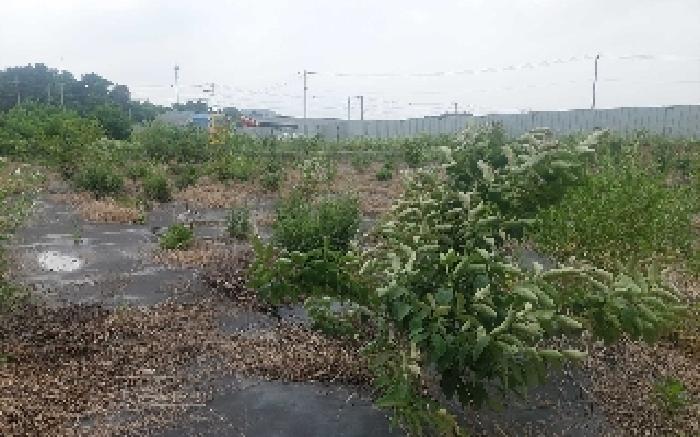 물건 사진 32
