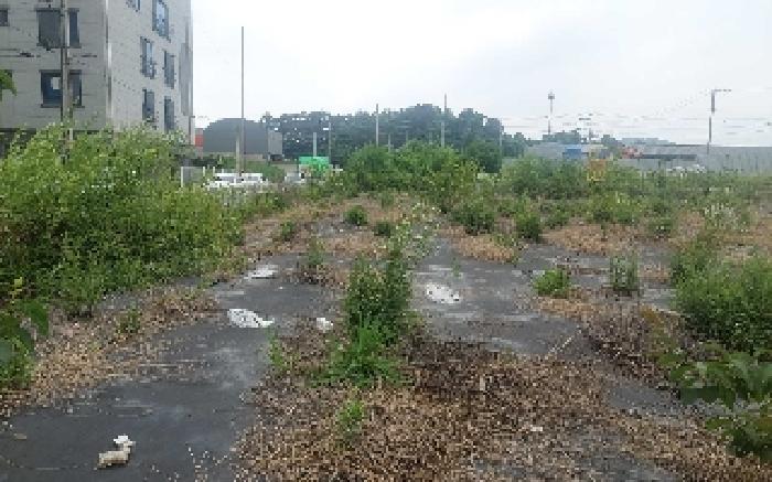 물건 사진 34
