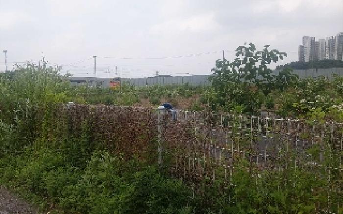 물건 사진 36