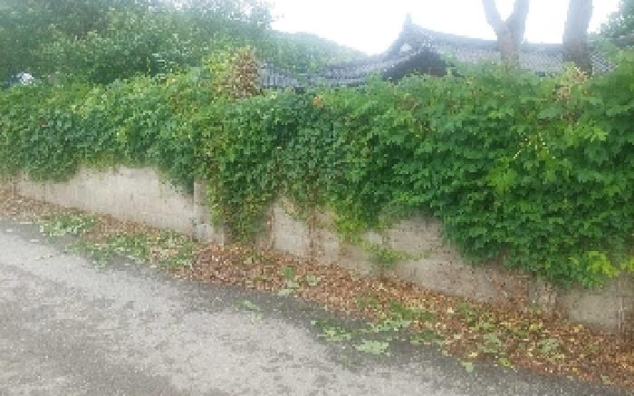 물건 사진 17