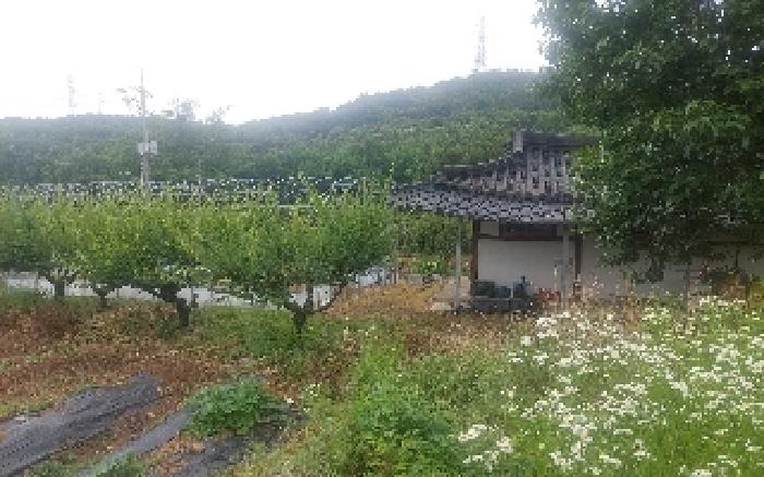 물건 사진 24
