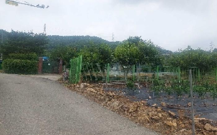 물건 사진 33