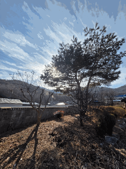 물건 사진 42