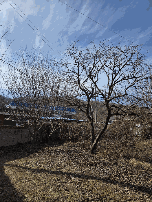 물건 사진 47