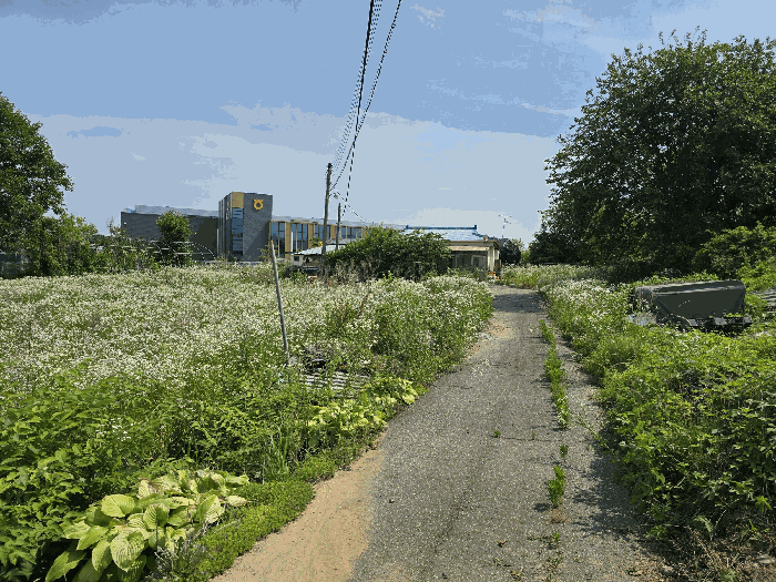 물건 사진 19