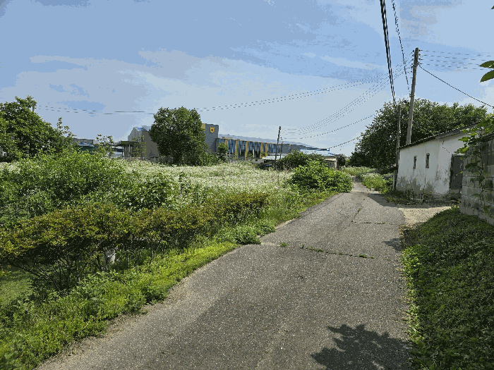 물건 사진 25