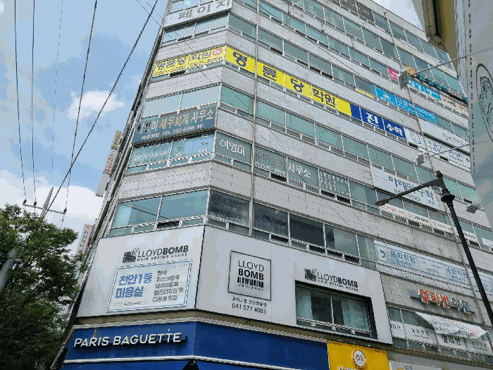 물건 사진 9