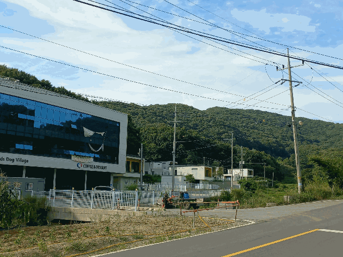 물건 사진 21