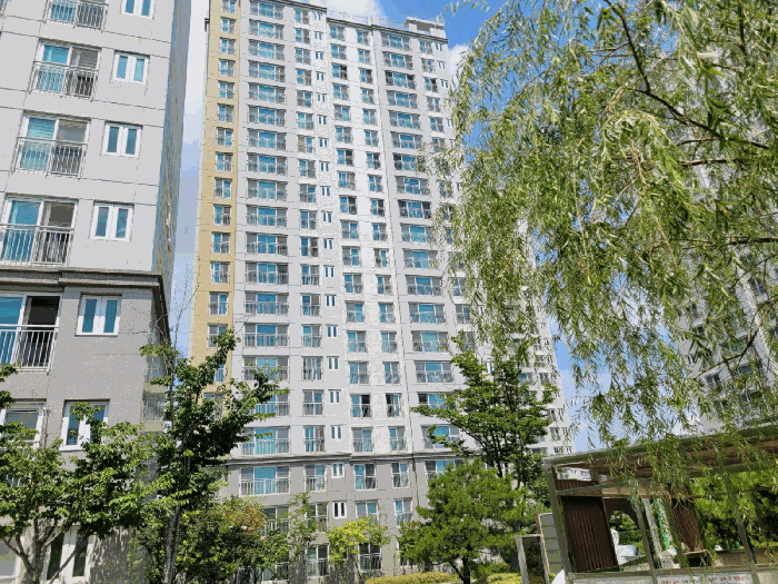 물건 사진 6