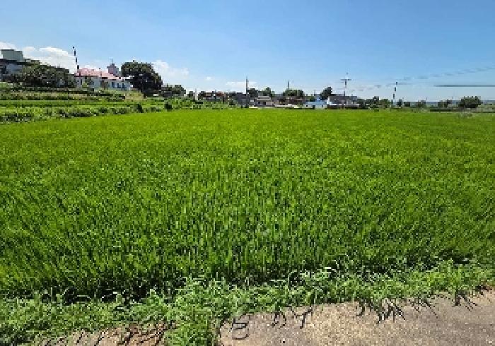 물건 사진 25