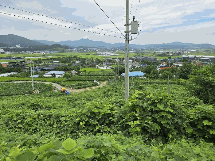 물건 사진 34