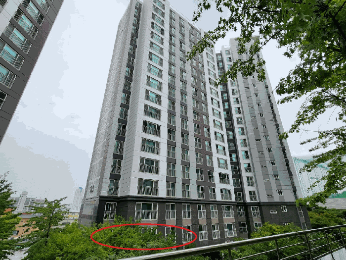 물건 사진 5