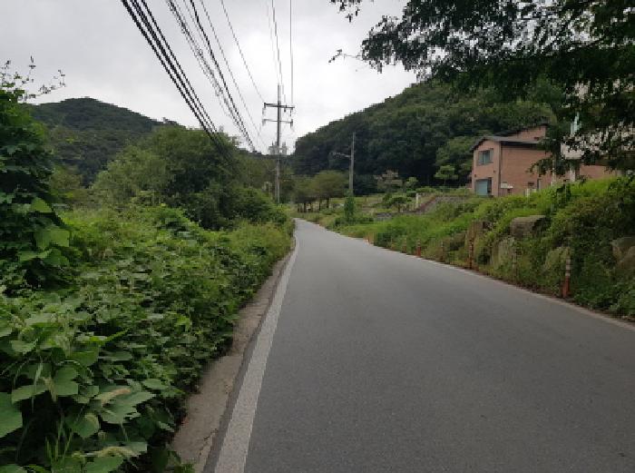 물건 사진 17