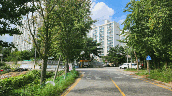 물건 사진 12
