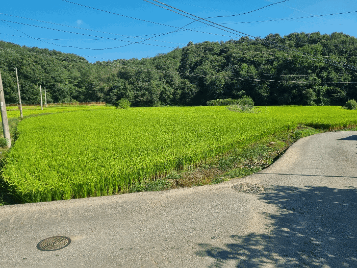 물건 사진 19