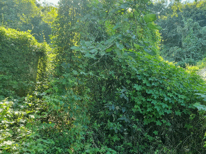 물건 사진 26