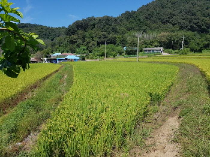 물건 사진 4