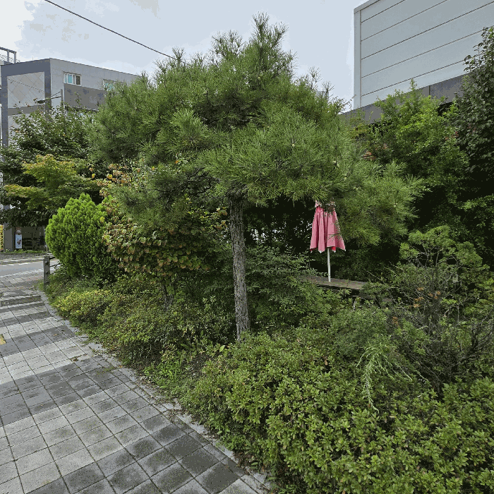 물건 사진 19