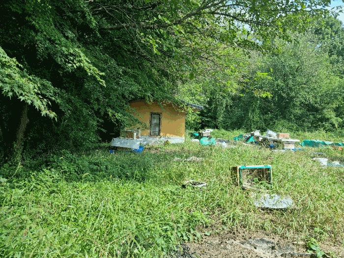 물건 사진 26