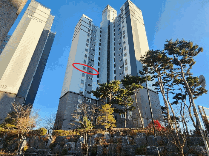 물건 사진 6