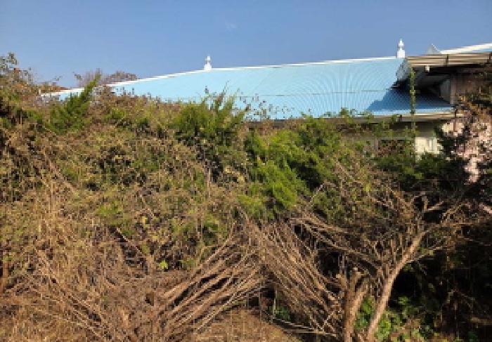 물건 사진 12
