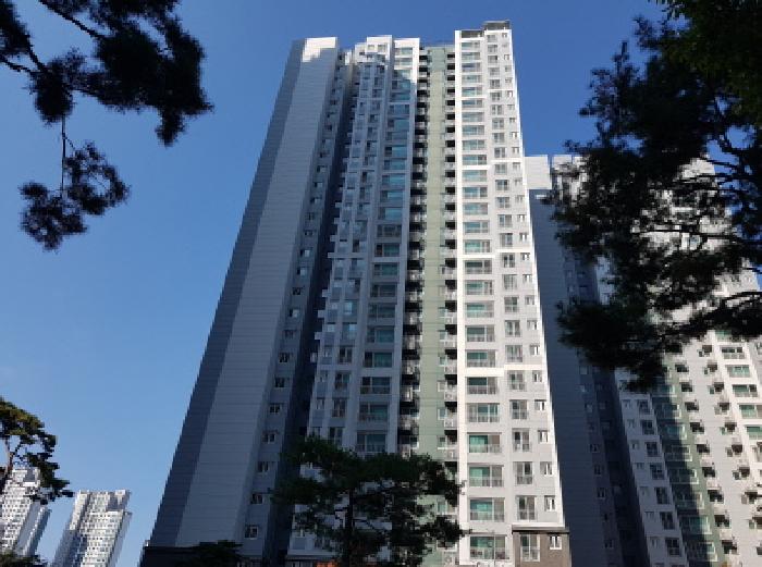 물건 사진 3