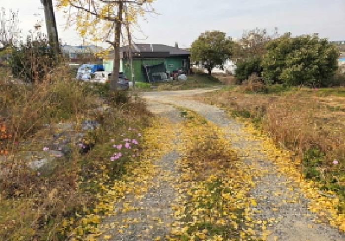 물건 사진 5