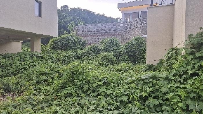 물건 사진 14