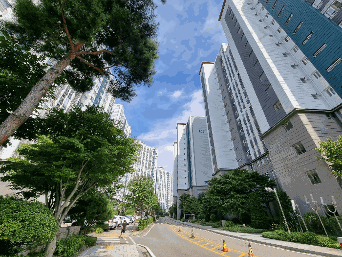 물건 사진 7