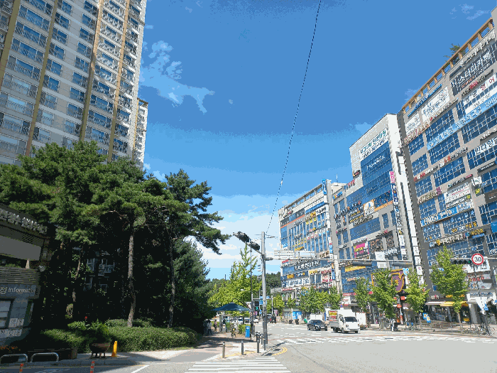 물건 사진 11