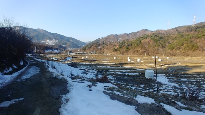 물건 사진 13