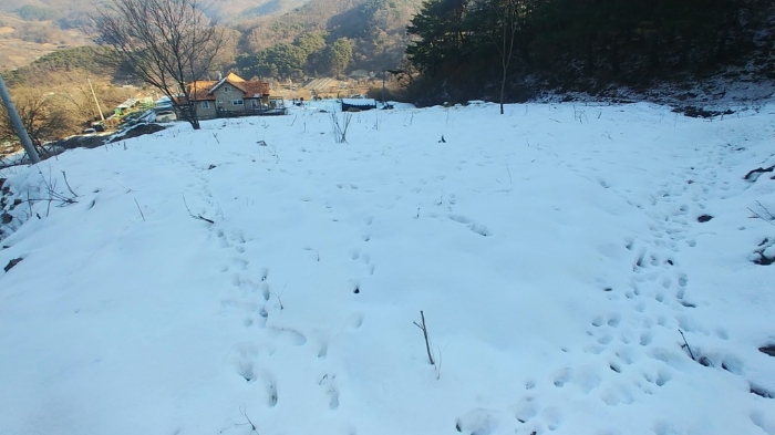 물건 사진 14