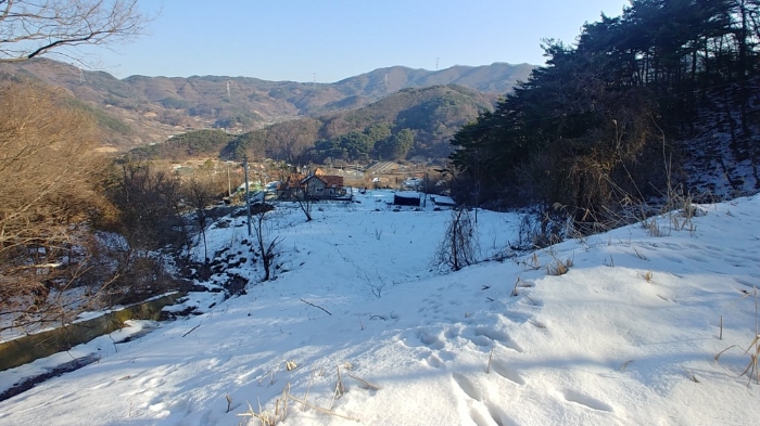 물건 사진 17