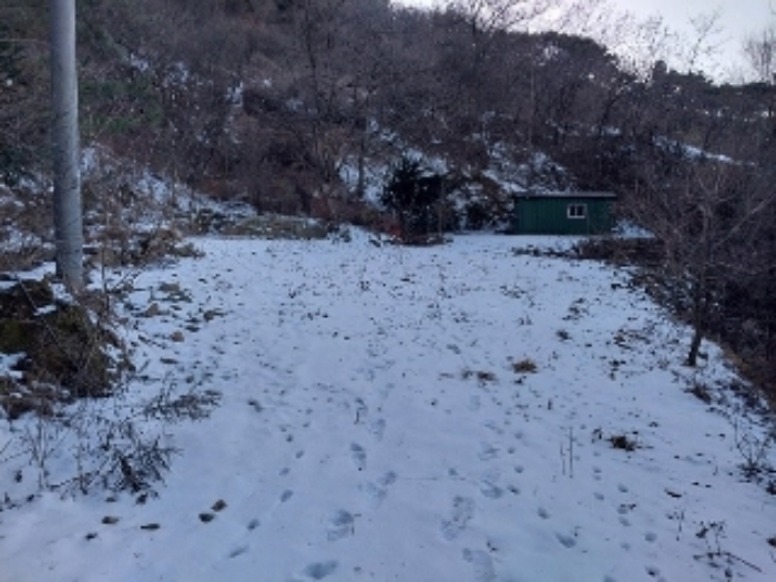 물건 사진 3