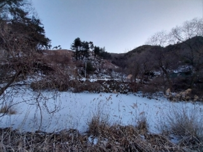 물건 사진 4