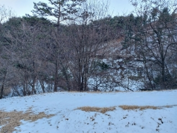 물건 사진 5