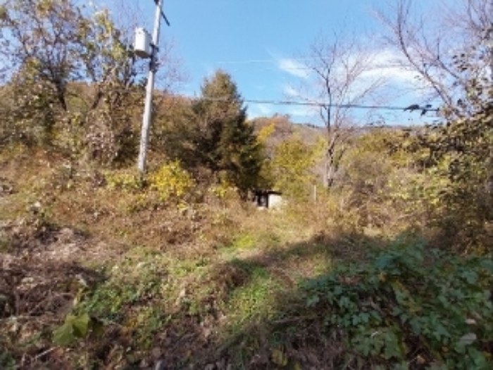 물건 사진 13
