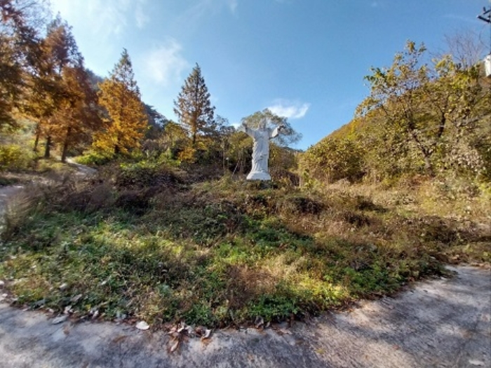 물건 사진 17